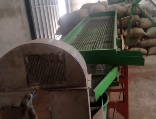Raw cashew nut cleaning machine