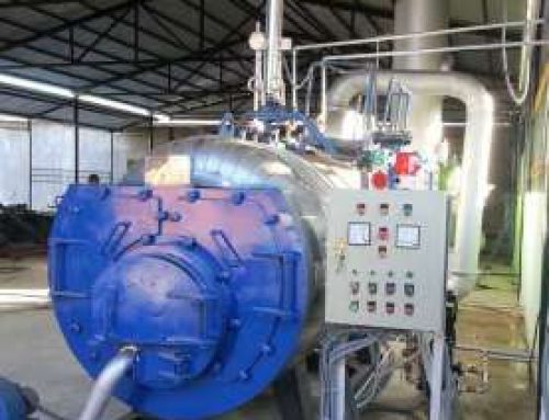 Boiler for Cashew Processing Factory